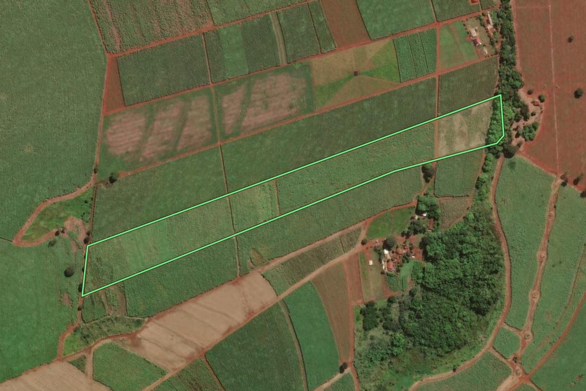 Imagem de satélite do imóvel rural em Igarapava (SP), com o contorno declarado no CAR desenhado por cima.