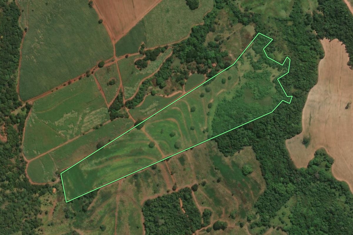 Imagem de satélite do imóvel rural em Igarapava (SP), com o contorno declarado no CAR desenhado por cima.