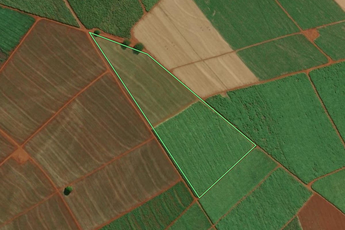 Imagem de satélite do imóvel rural em Igarapava (SP), com o contorno declarado no CAR desenhado por cima.
