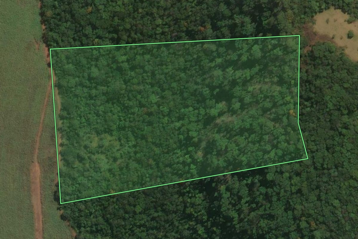 Imagem de satélite do imóvel rural em Igarapava (SP), com o contorno declarado no CAR desenhado por cima.