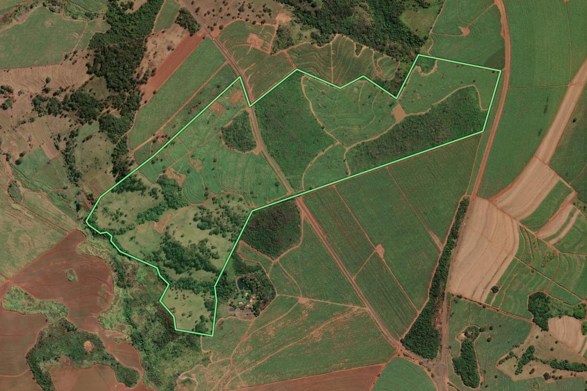 Imagem de satélite do imóvel rural em Igarapava (SP), com o contorno declarado no CAR desenhado por cima.