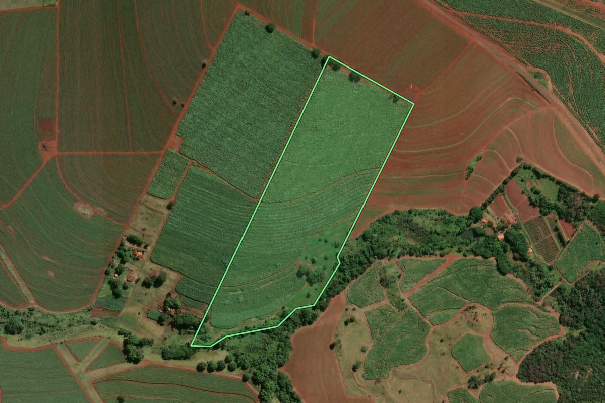 Imagem de satélite do imóvel rural em Igarapava (SP), com o contorno declarado no CAR desenhado por cima.