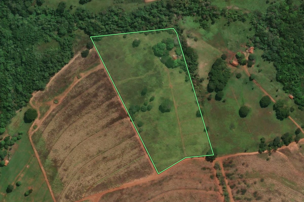 Imagem de satélite do imóvel rural em Igarapava (SP), com o contorno declarado no CAR desenhado por cima.