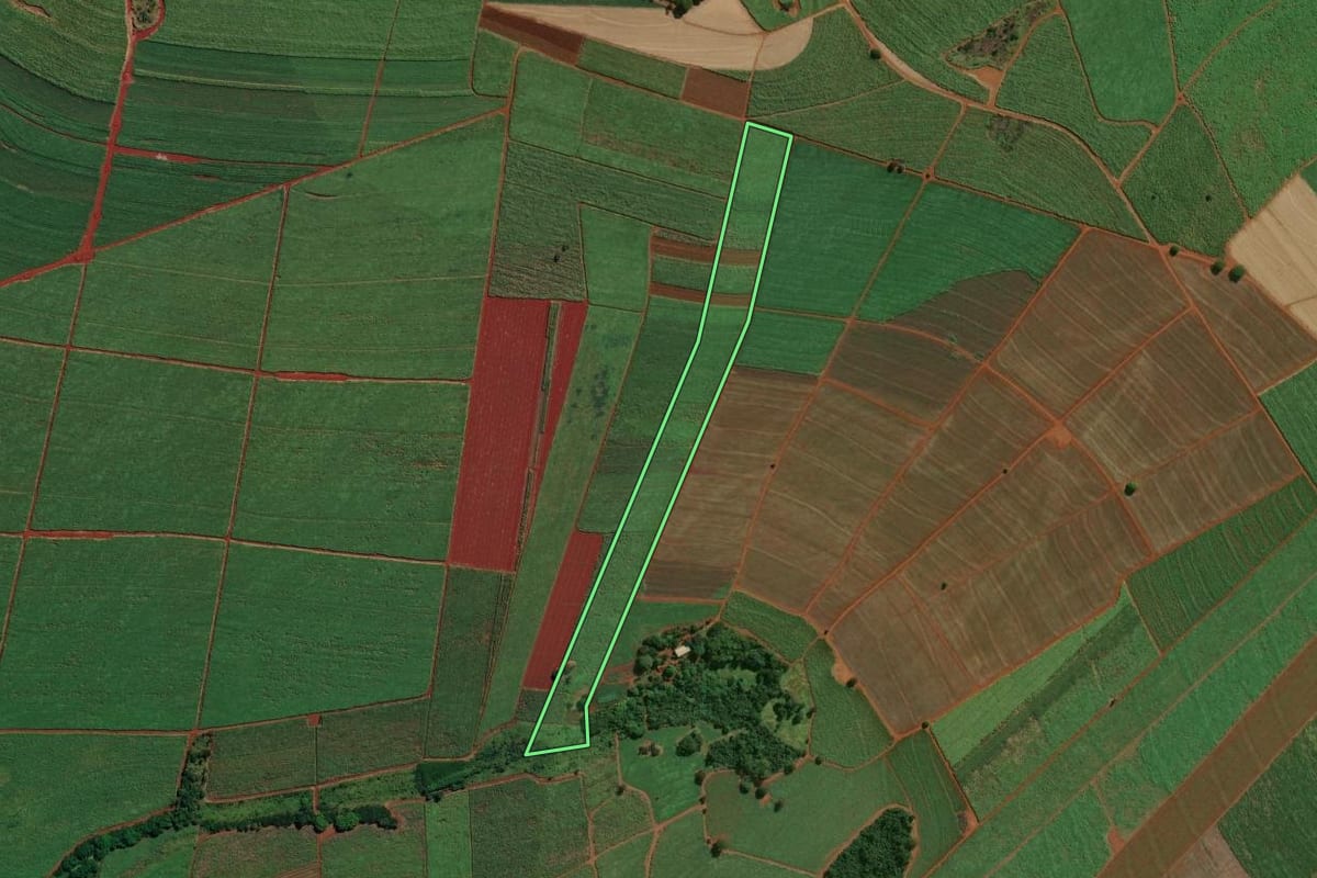 Imagem de satélite do imóvel rural em Igarapava (SP), com o contorno declarado no CAR desenhado por cima.