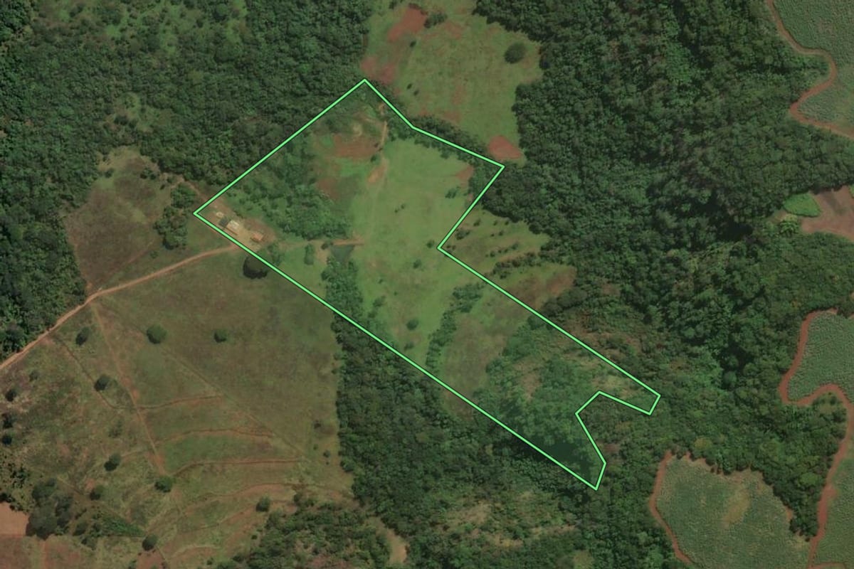 Imagem de satélite do imóvel rural em Igarapava (SP), com o contorno declarado no CAR desenhado por cima.