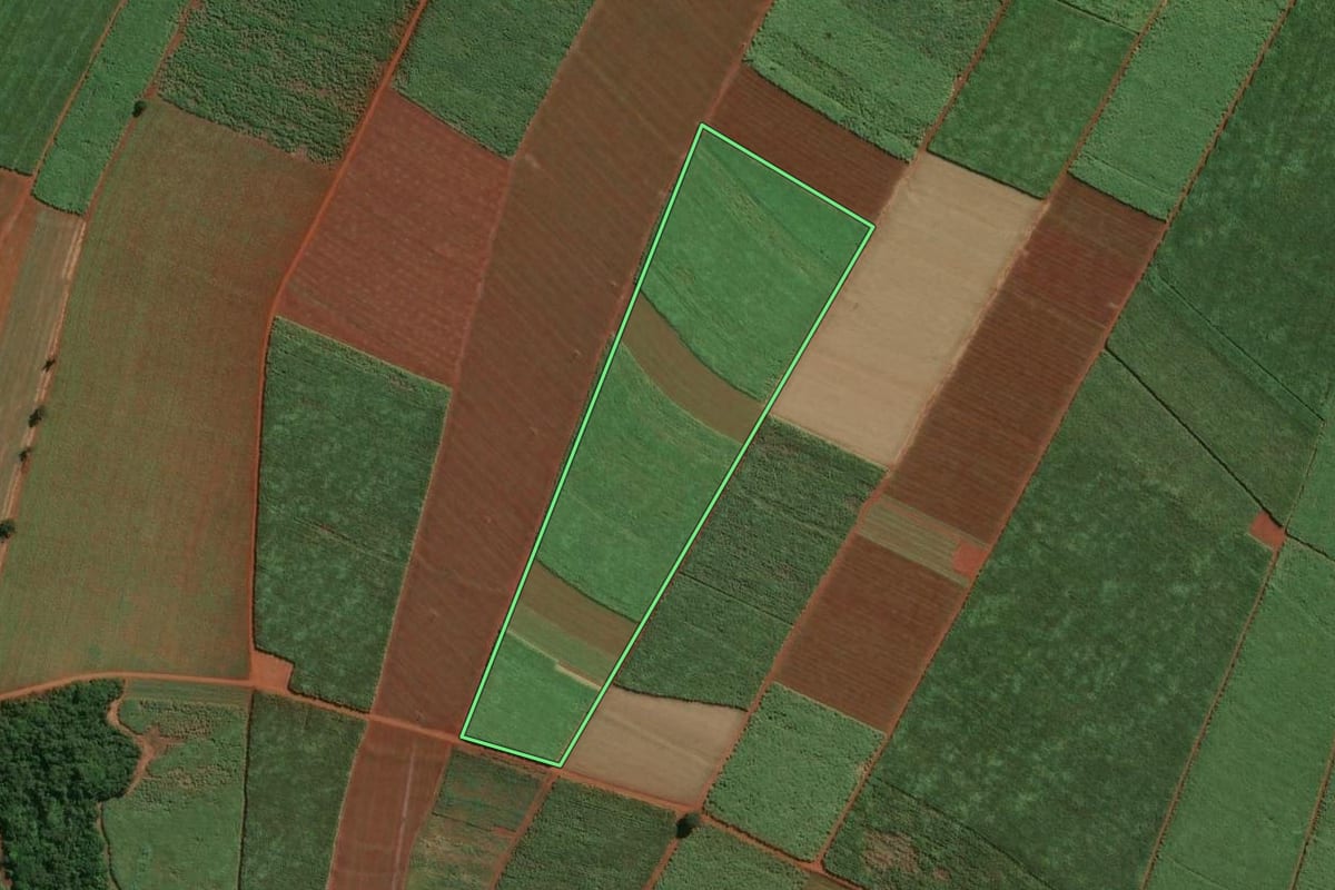 Imagem de satélite do imóvel rural em Igarapava (SP), com o contorno declarado no CAR desenhado por cima.