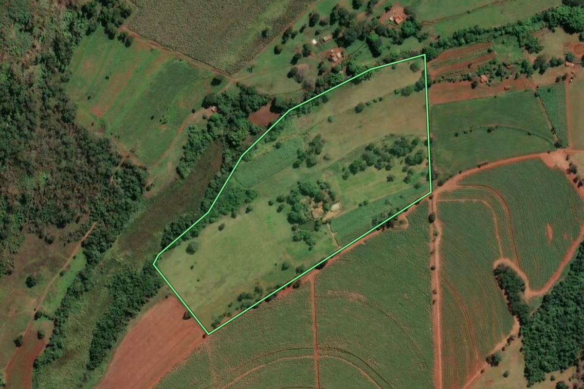 Imagem de satélite do imóvel rural em Igarapava (SP), com o contorno declarado no CAR desenhado por cima.