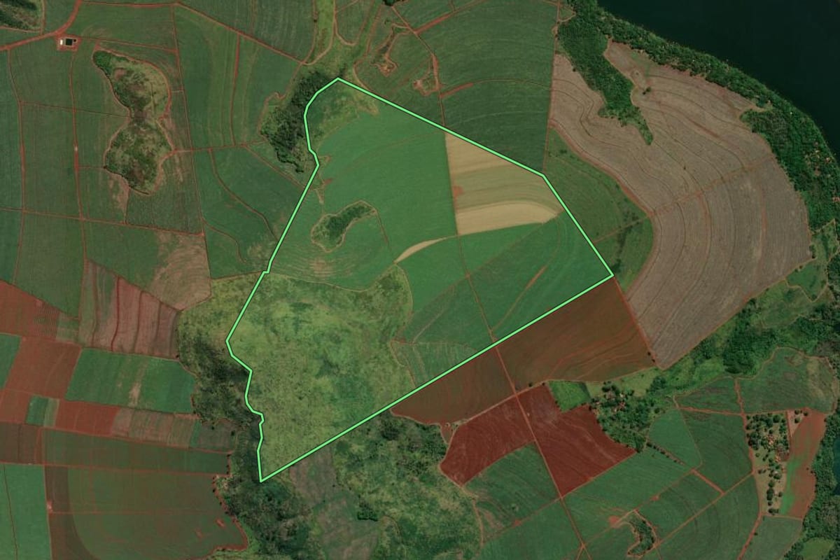 Imagem de satélite do imóvel rural em Igarapava (SP), com o contorno declarado no CAR desenhado por cima.
