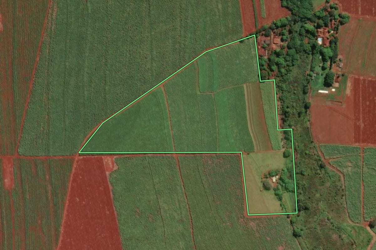 Imagem de satélite do imóvel rural em Igarapava (SP), com o contorno declarado no CAR desenhado por cima.