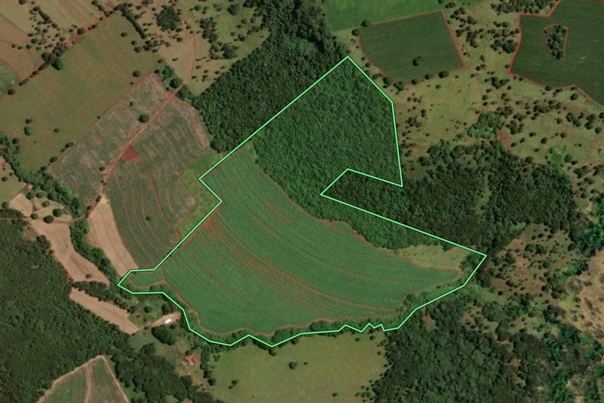 Imagem de satélite do imóvel rural em Igarapava (SP), com o contorno declarado no CAR desenhado por cima.