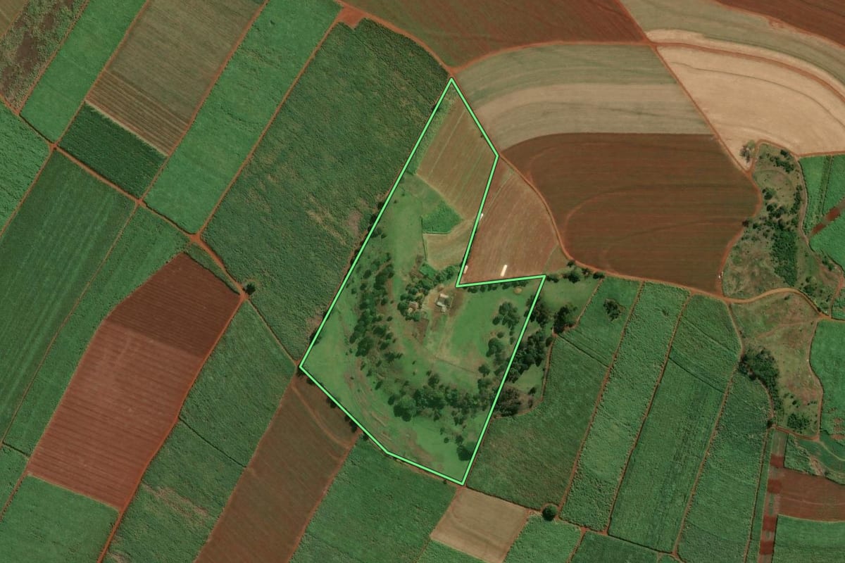 Imagem de satélite do imóvel rural em Igarapava (SP), com o contorno declarado no CAR desenhado por cima.