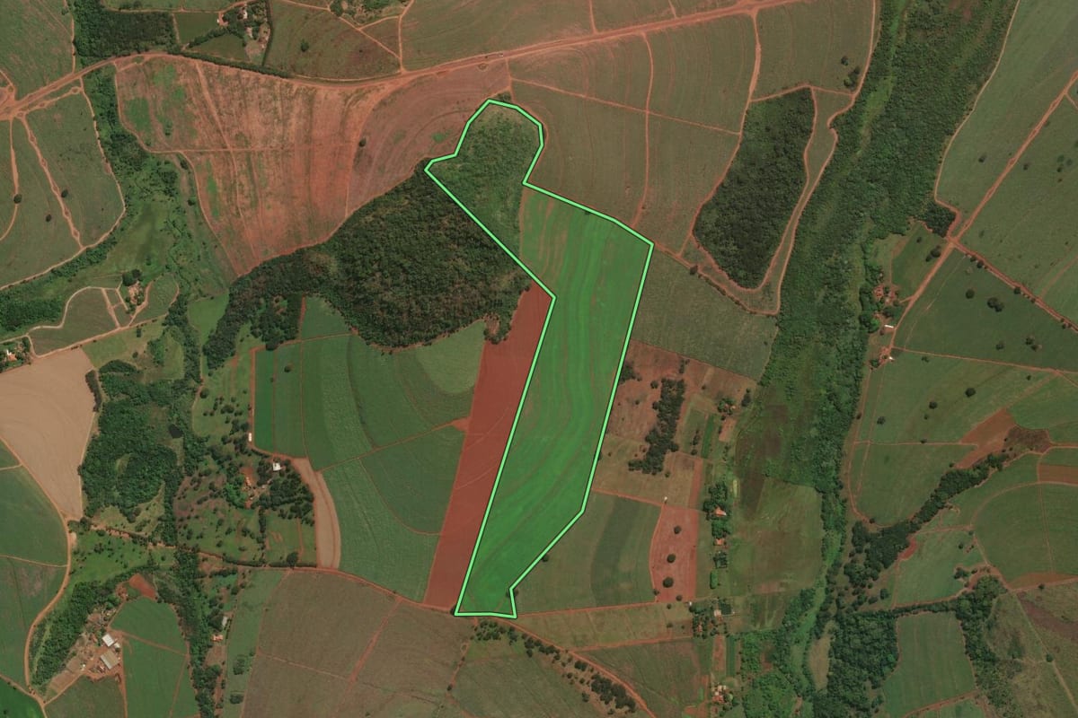 Imagem de satélite do imóvel rural em Igarapava (SP), com o contorno declarado no CAR desenhado por cima.