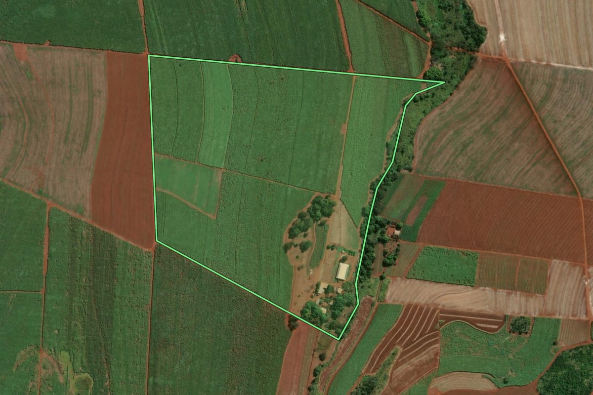 Imagem de satélite do imóvel rural em Igarapava (SP), com o contorno declarado no CAR desenhado por cima.