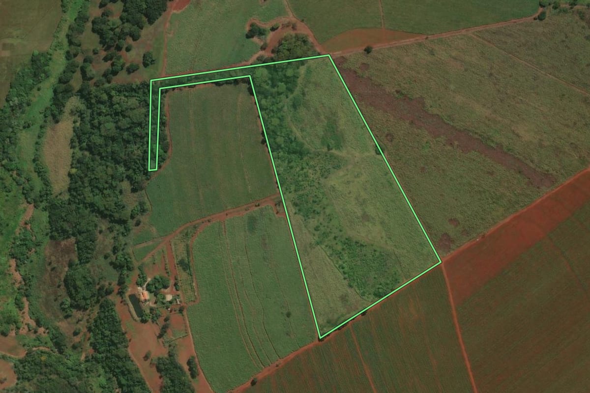 Imagem de satélite do imóvel rural em Igarapava (SP), com o contorno declarado no CAR desenhado por cima.