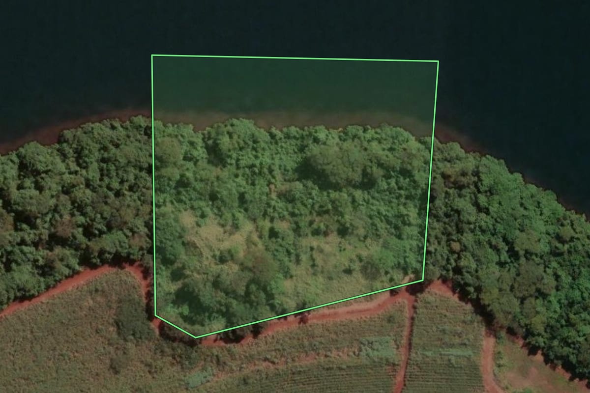 Imagem de satélite do imóvel rural em Igarapava (SP), com o contorno declarado no CAR desenhado por cima.