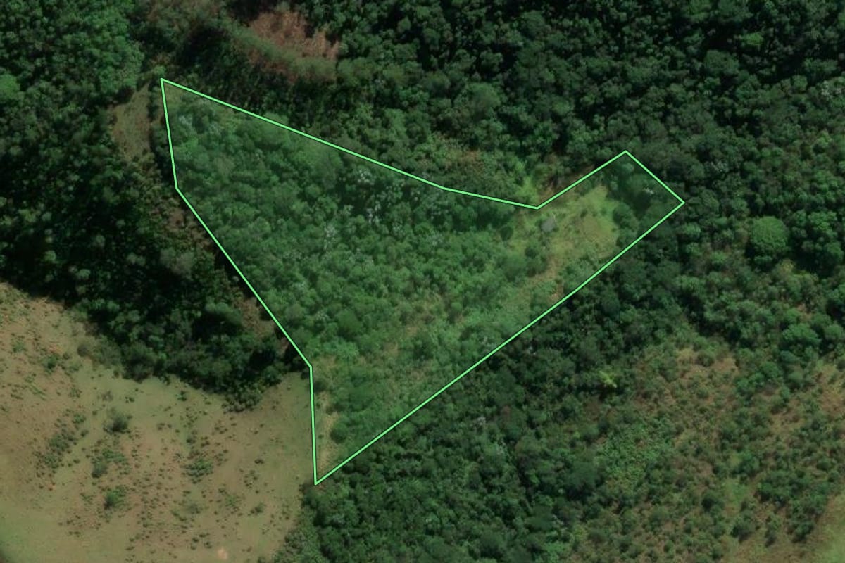 Imagem de satélite do imóvel rural em Igaratá (SP), com o contorno declarado no CAR desenhado por cima.