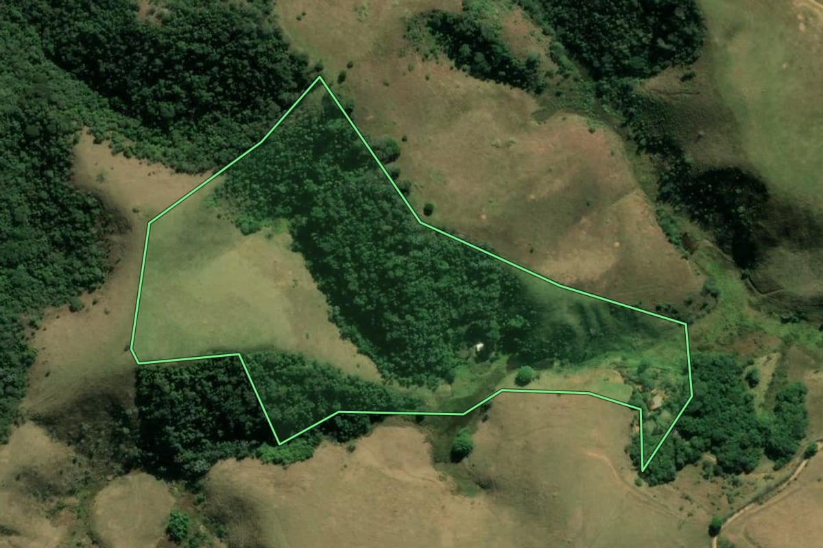 Imagem de satélite do imóvel rural em Igaratá (SP), com o contorno declarado no CAR desenhado por cima.