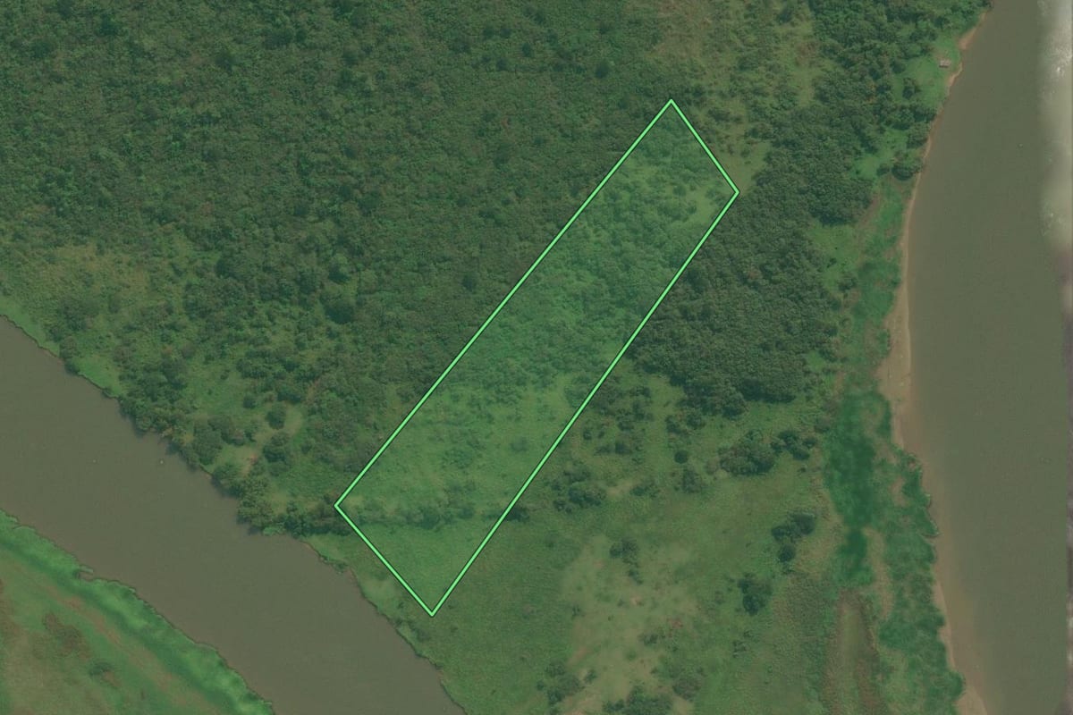 Imagem de satélite do imóvel rural em Iguape (SP), com o contorno declarado no CAR desenhado por cima.