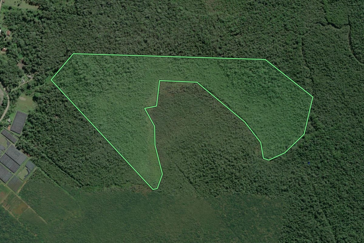 Imagem de satélite do imóvel rural em Iguape (SP), com o contorno declarado no CAR desenhado por cima.