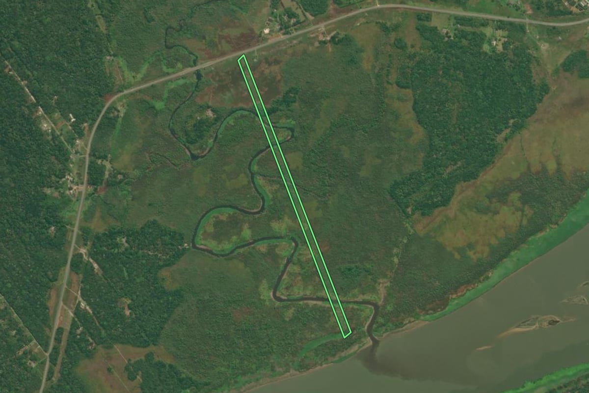 Imagem de satélite do imóvel rural em Iguape (SP), com o contorno declarado no CAR desenhado por cima.