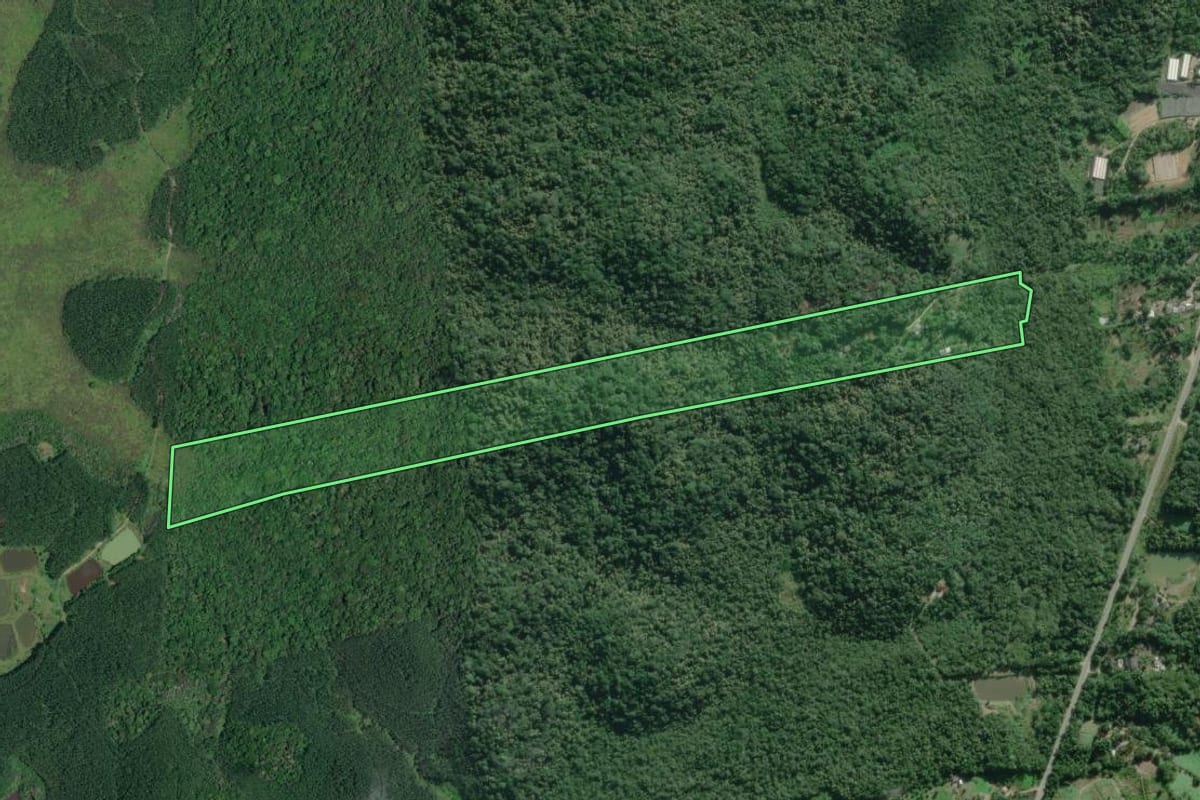 Imagem de satélite do imóvel rural em Iguape (SP), com o contorno declarado no CAR desenhado por cima.