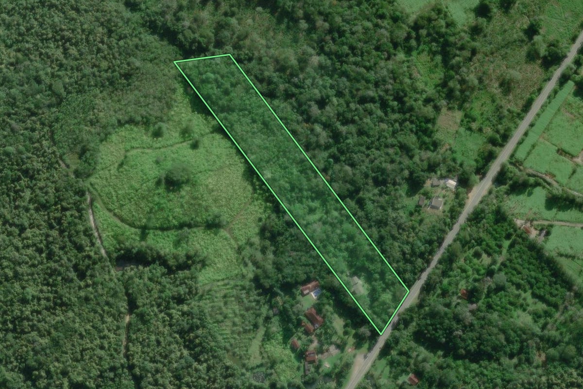 Imagem de satélite do imóvel rural em Iguape (SP), com o contorno declarado no CAR desenhado por cima.
