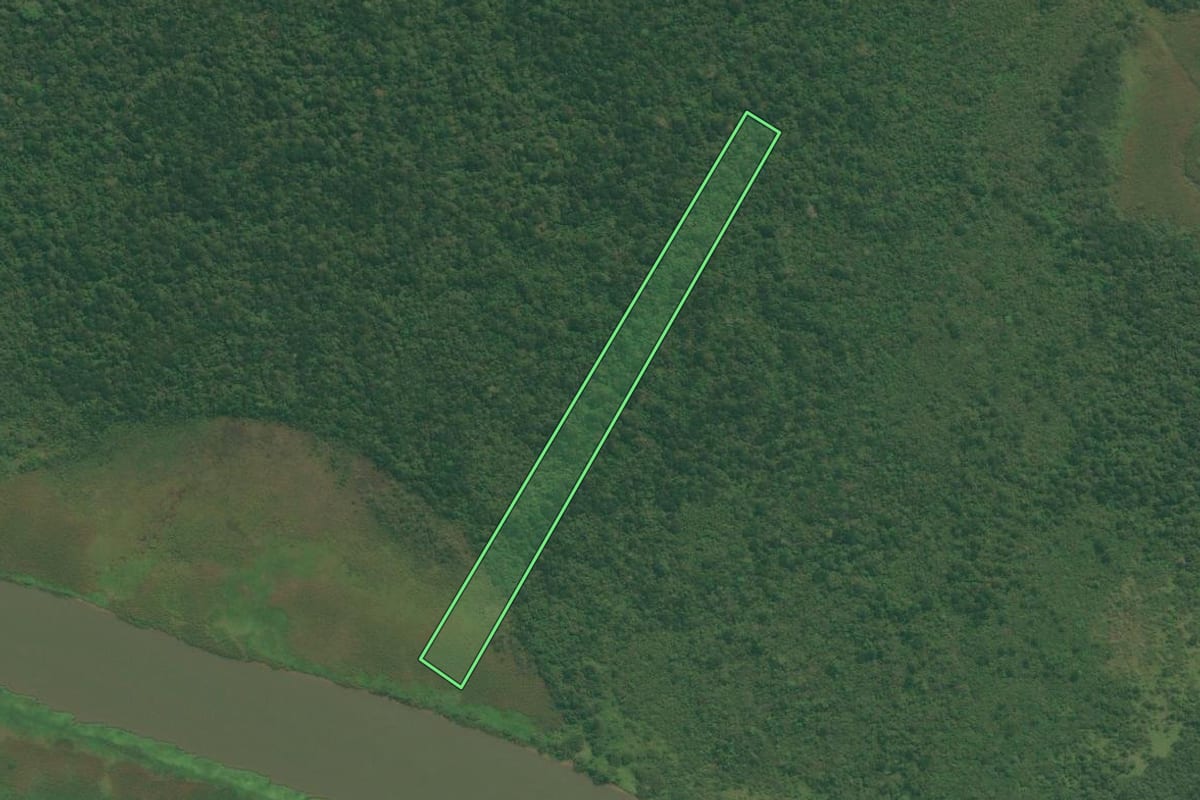 Imagem de satélite do imóvel rural em Iguape (SP), com o contorno declarado no CAR desenhado por cima.