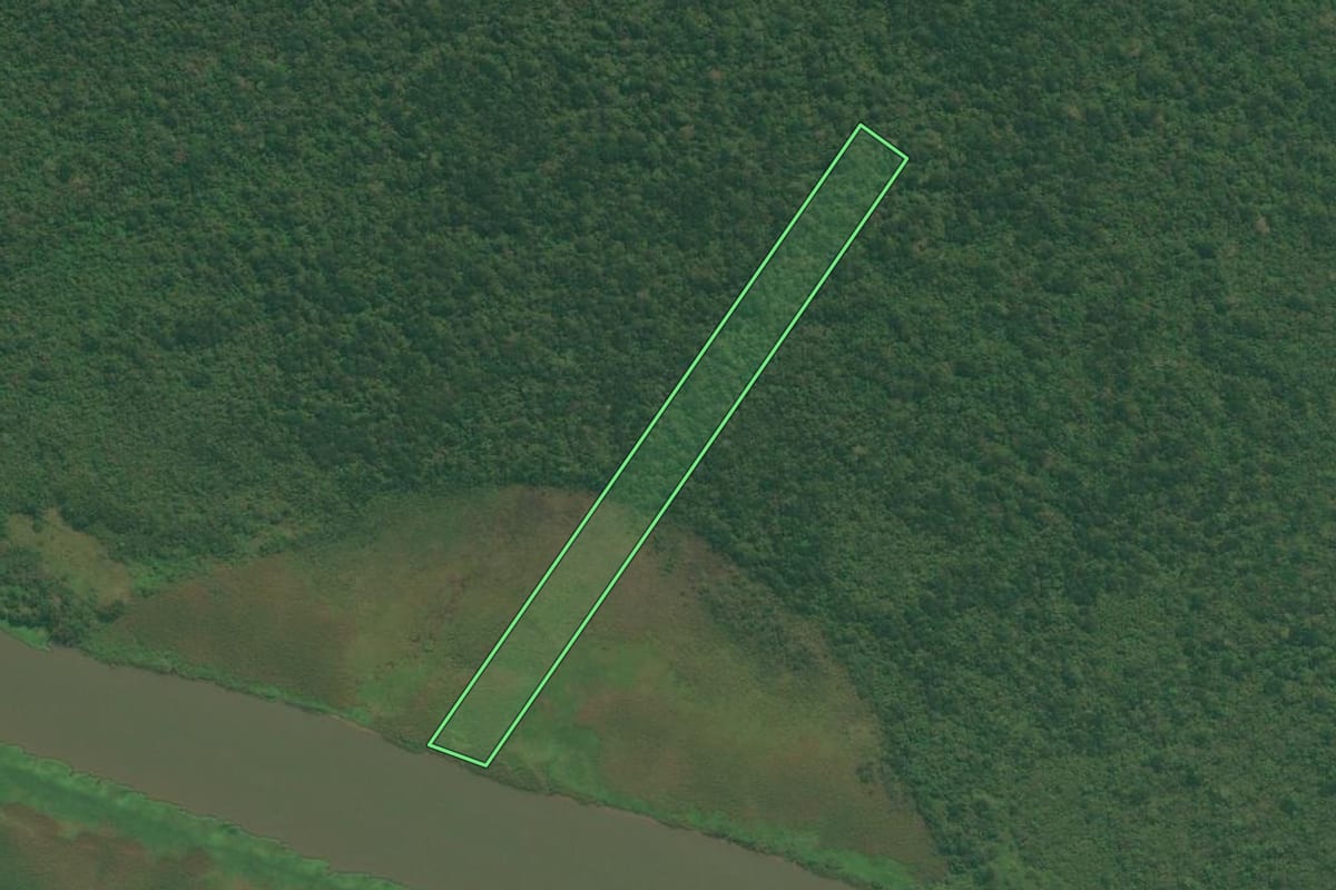Imagem de satélite do imóvel rural em Iguape (SP), com o contorno declarado no CAR desenhado por cima.