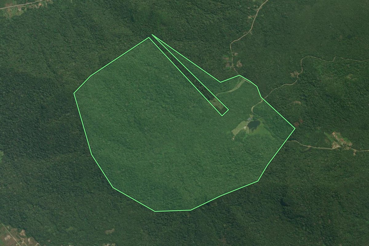 Imagem de satélite do imóvel rural em Iguape (SP), com o contorno declarado no CAR desenhado por cima.
