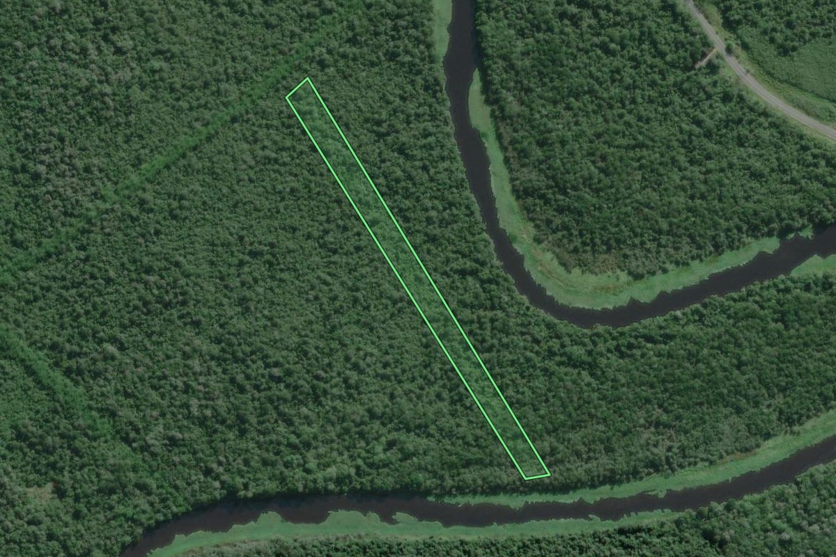 Imagem de satélite do imóvel rural em Iguape (SP), com o contorno declarado no CAR desenhado por cima.