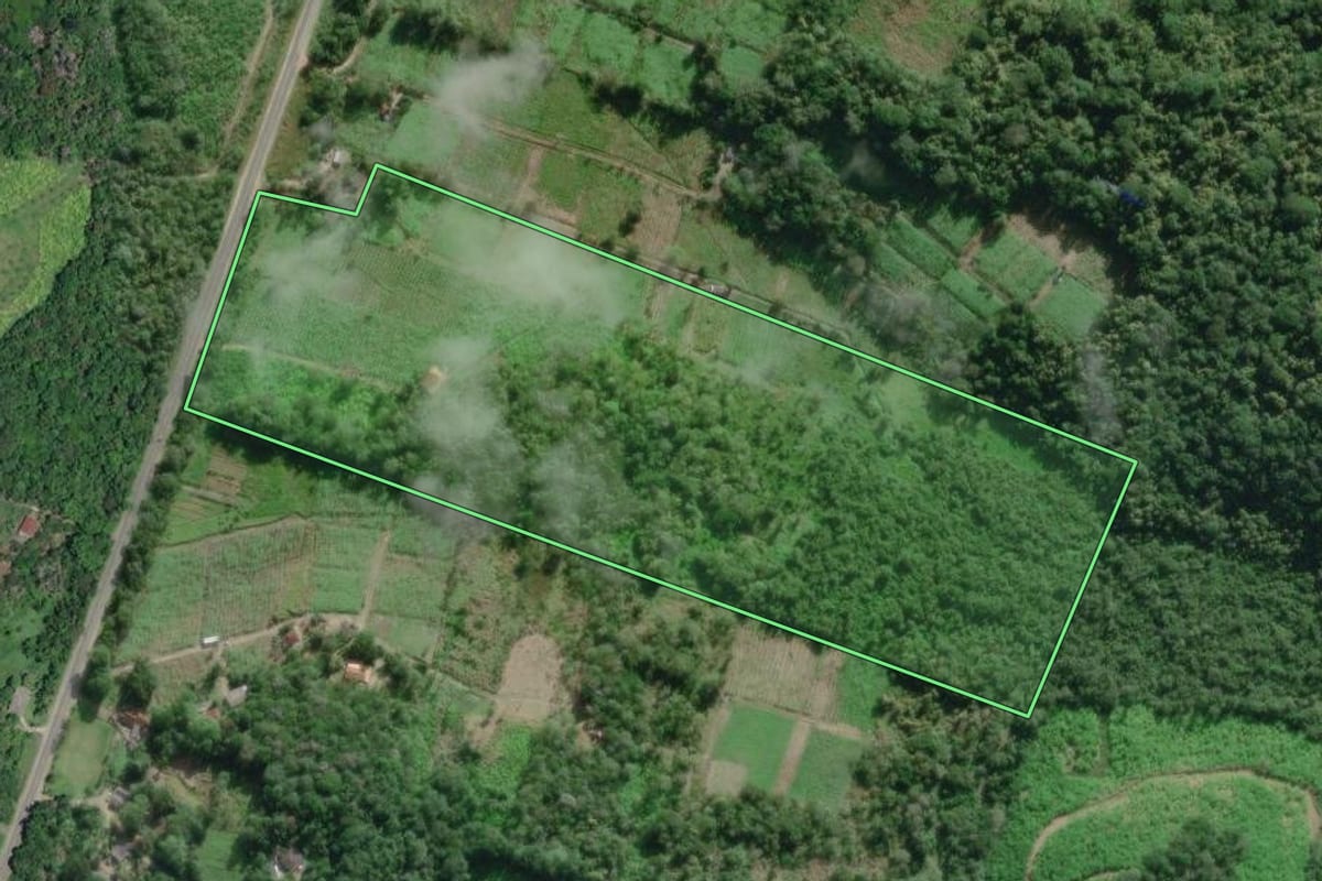 Imagem de satélite do imóvel rural em Iguape (SP), com o contorno declarado no CAR desenhado por cima.