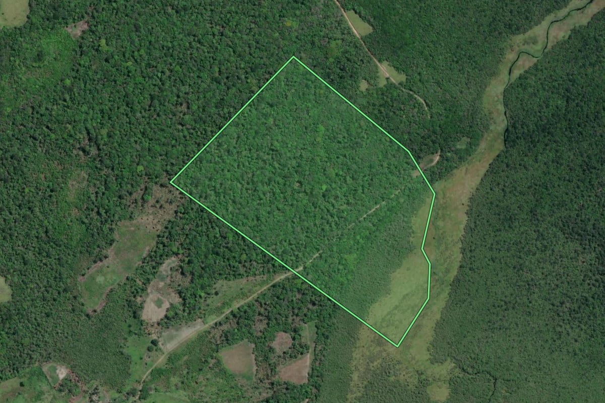 Imagem de satélite do imóvel rural em Iguape (SP), com o contorno declarado no CAR desenhado por cima.