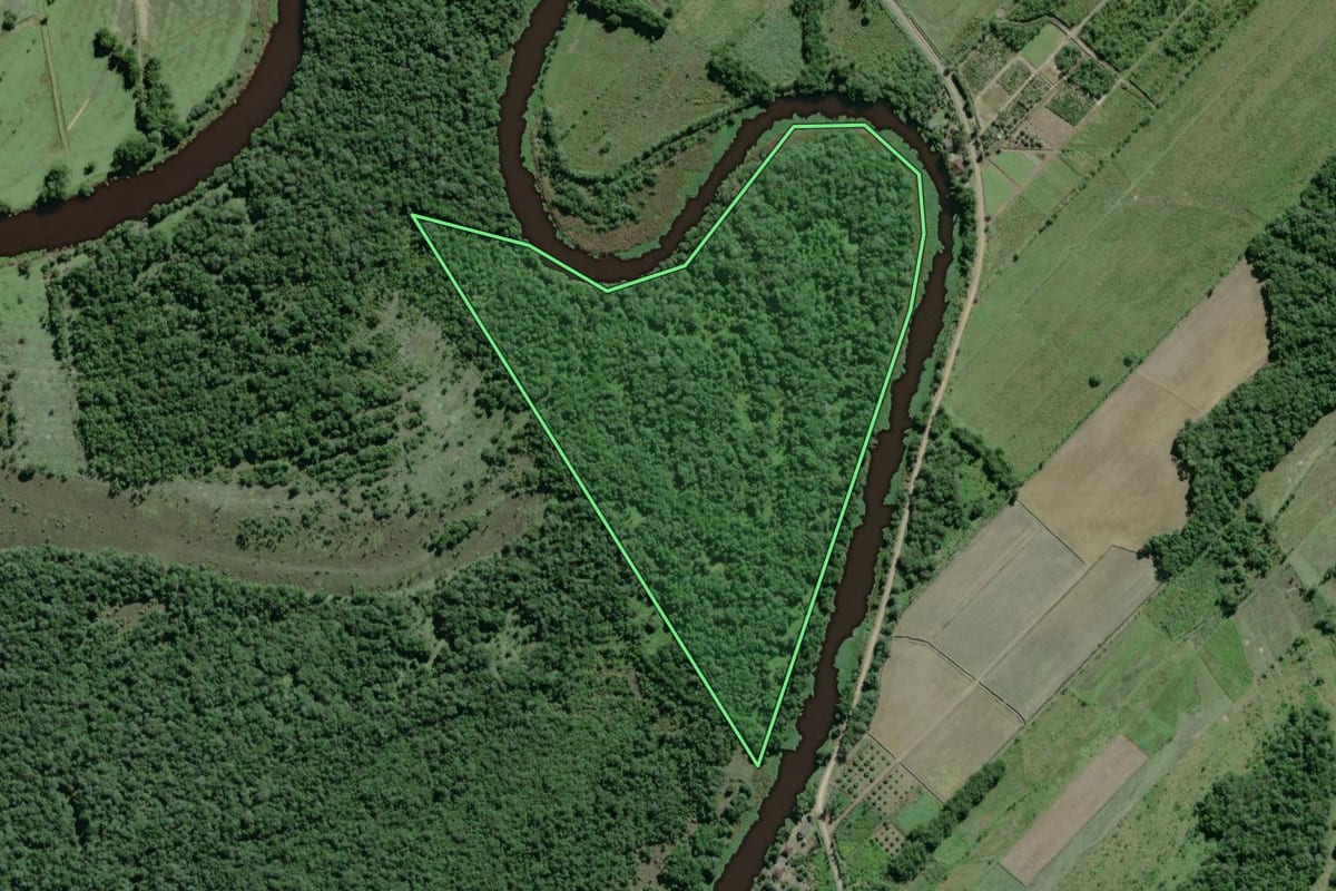 Imagem de satélite do imóvel rural em Iguape (SP), com o contorno declarado no CAR desenhado por cima.