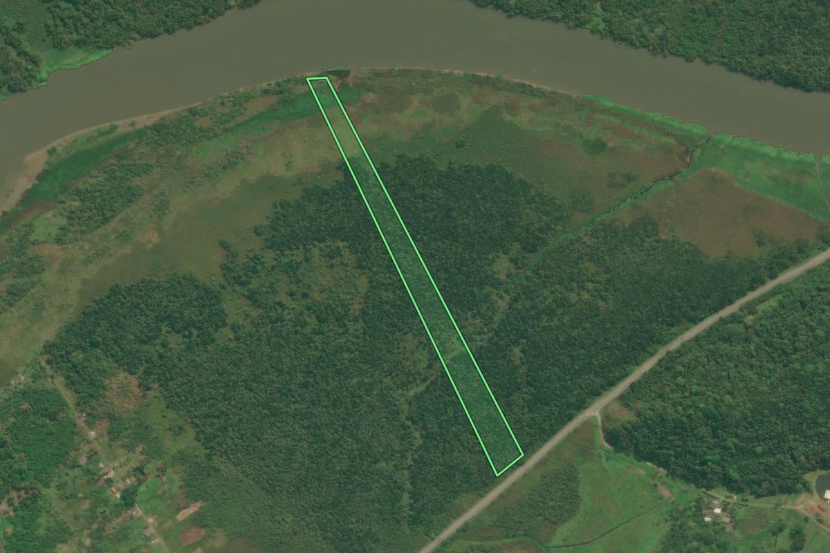 Imagem de satélite do imóvel rural em Iguape (SP), com o contorno declarado no CAR desenhado por cima.