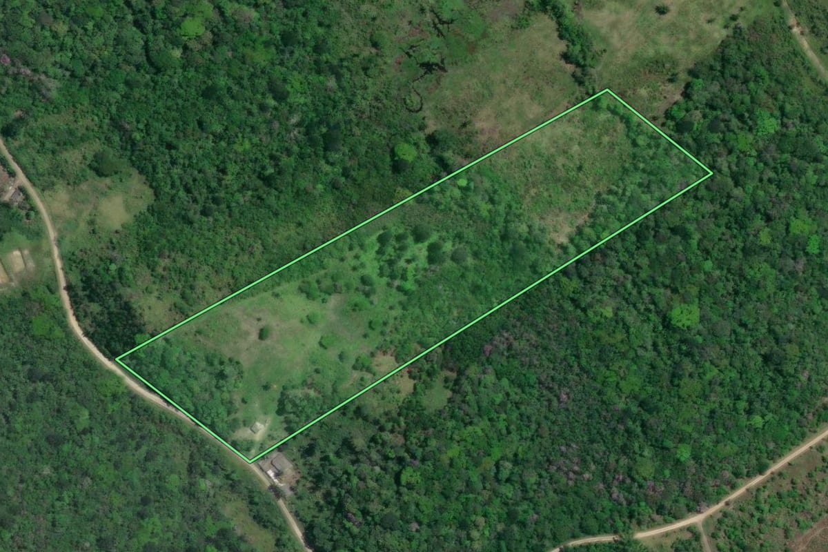 Imagem de satélite do imóvel rural em Iguape (SP), com o contorno declarado no CAR desenhado por cima.