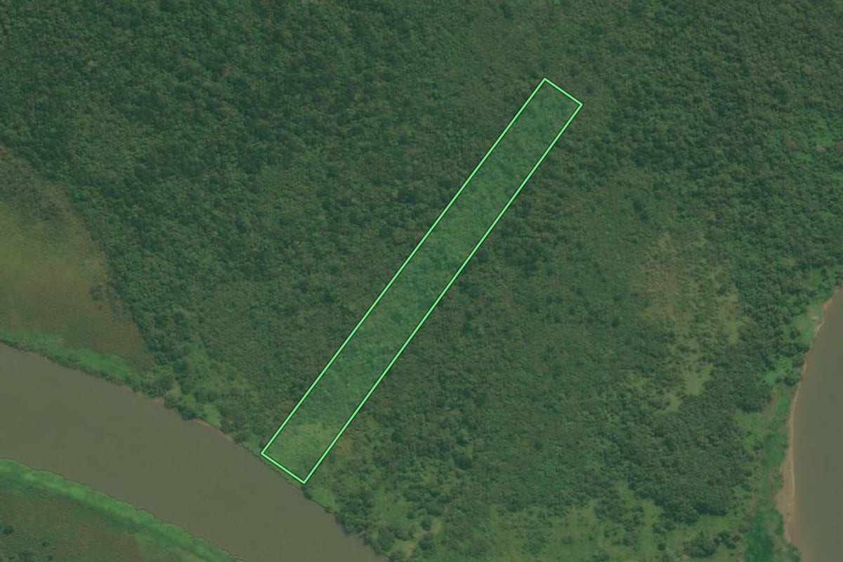Imagem de satélite do imóvel rural em Iguape (SP), com o contorno declarado no CAR desenhado por cima.