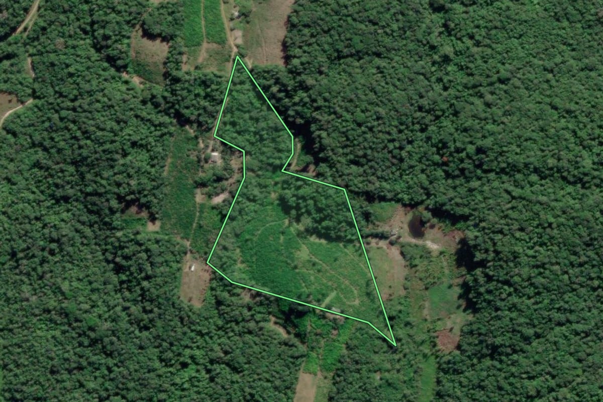 Imagem de satélite do imóvel rural em Iguape (SP), com o contorno declarado no CAR desenhado por cima.