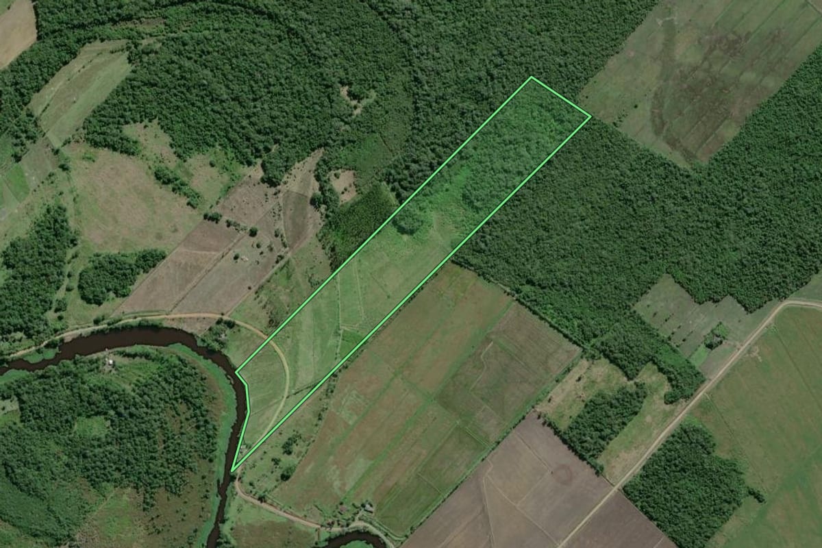 Imagem de satélite do imóvel rural em Iguape (SP), com o contorno declarado no CAR desenhado por cima.