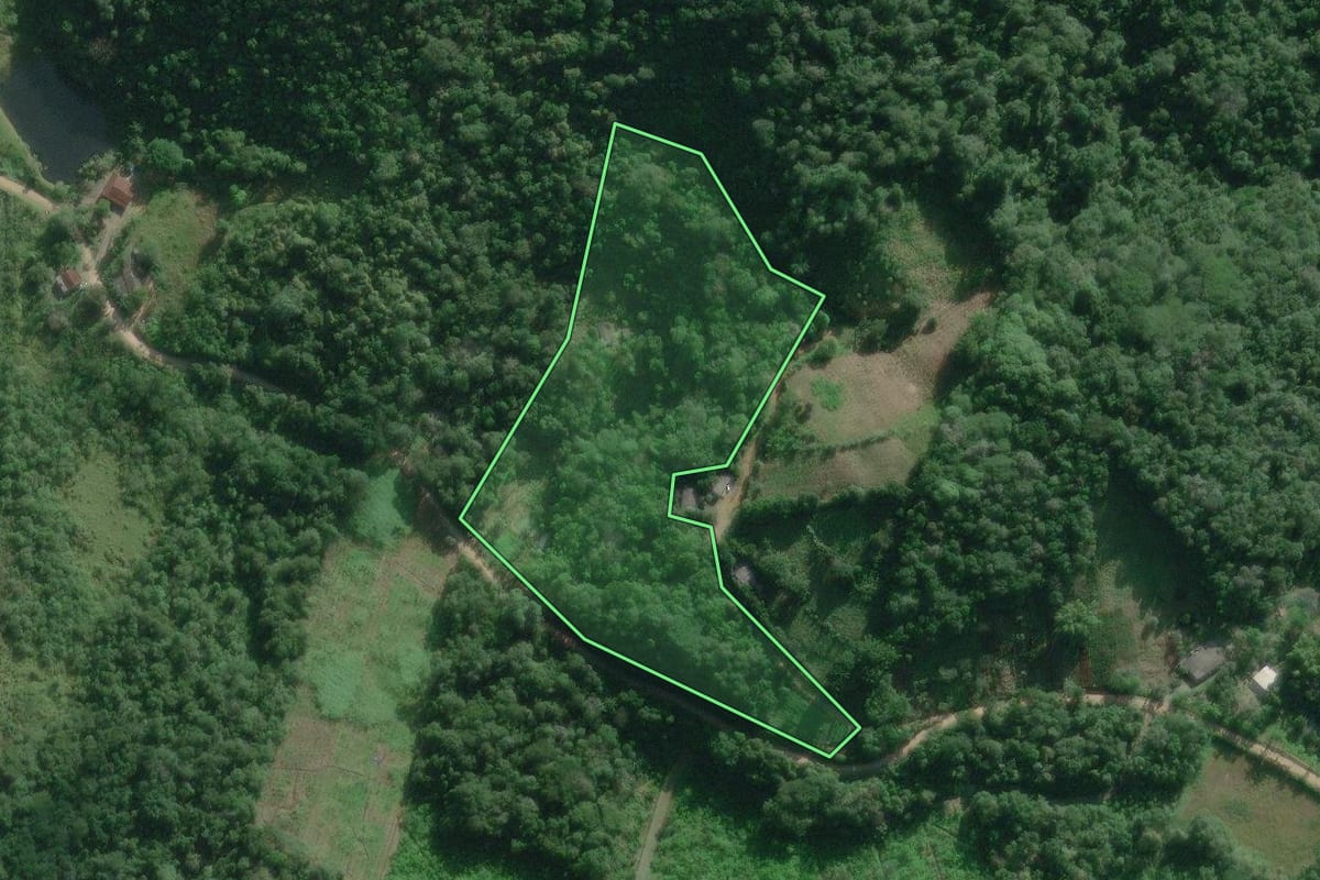 Imagem de satélite do imóvel rural em Iguape (SP), com o contorno declarado no CAR desenhado por cima.