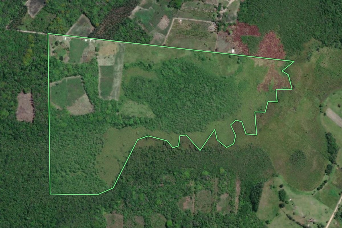 Imagem de satélite do imóvel rural em Iguape (SP), com o contorno declarado no CAR desenhado por cima.