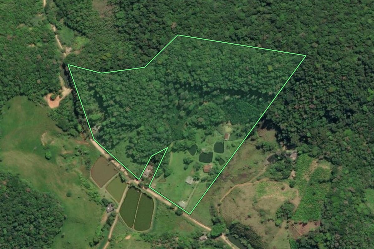 Imagem de satélite do imóvel rural em Iguape (SP), com o contorno declarado no CAR desenhado por cima.