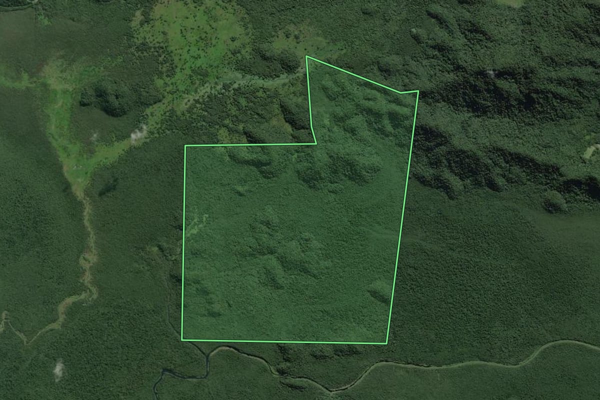 Imagem de satélite do imóvel rural em Iguape (SP), com o contorno declarado no CAR desenhado por cima.