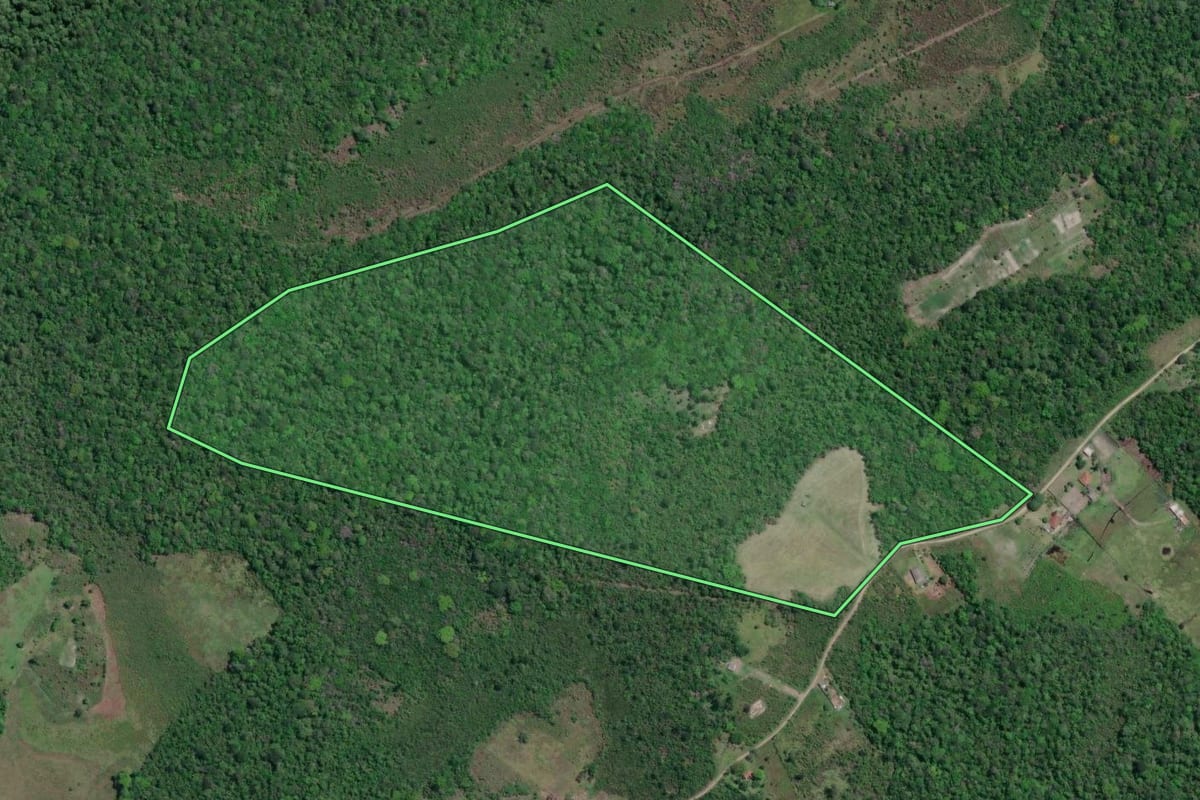 Imagem de satélite do imóvel rural em Iguape (SP), com o contorno declarado no CAR desenhado por cima.