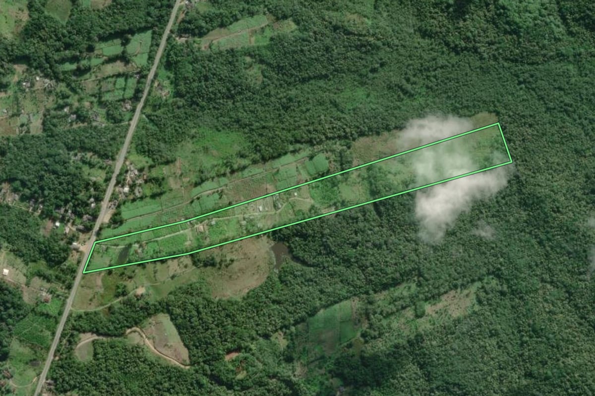 Imagem de satélite do imóvel rural em Iguape (SP), com o contorno declarado no CAR desenhado por cima.