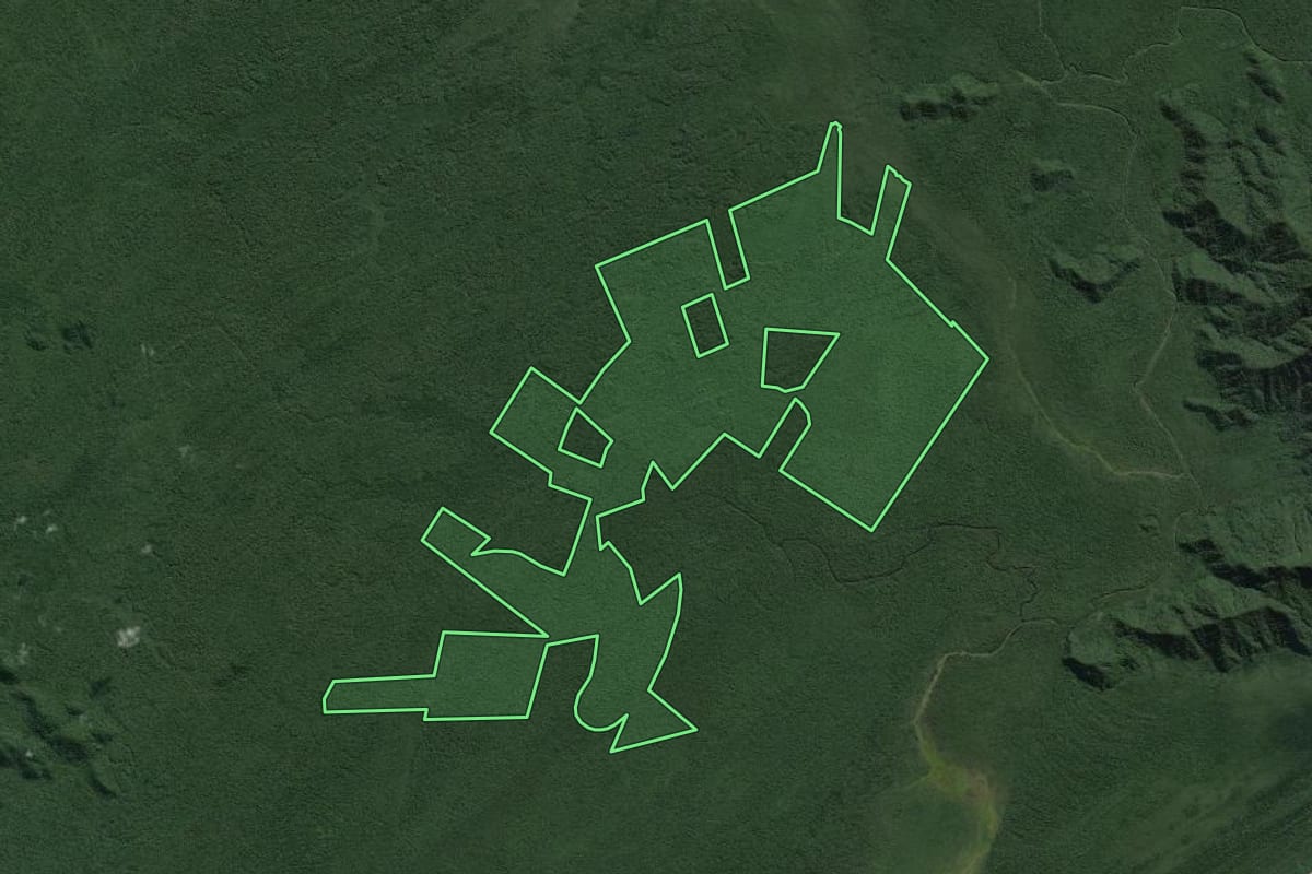 Imagem de satélite do imóvel rural em Iguape (SP), com o contorno declarado no CAR desenhado por cima.