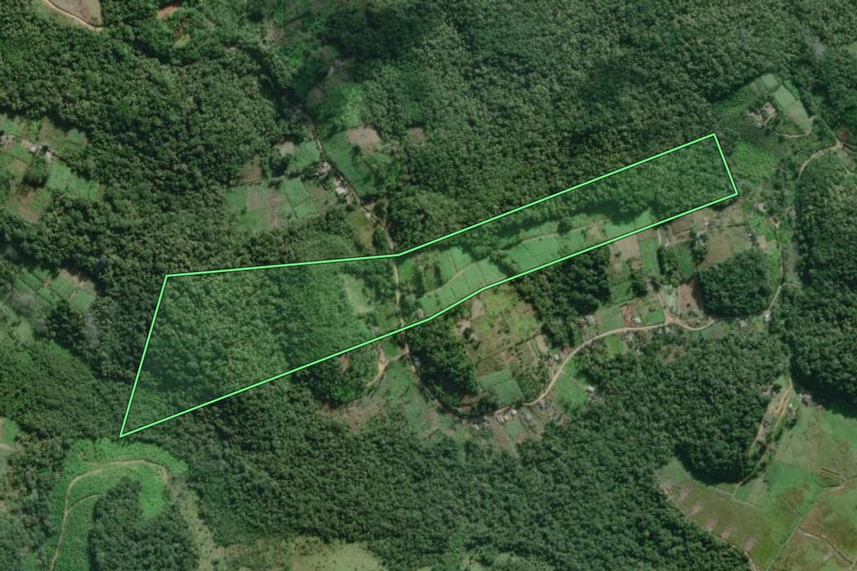 Imagem de satélite do imóvel rural em Iguape (SP), com o contorno declarado no CAR desenhado por cima.