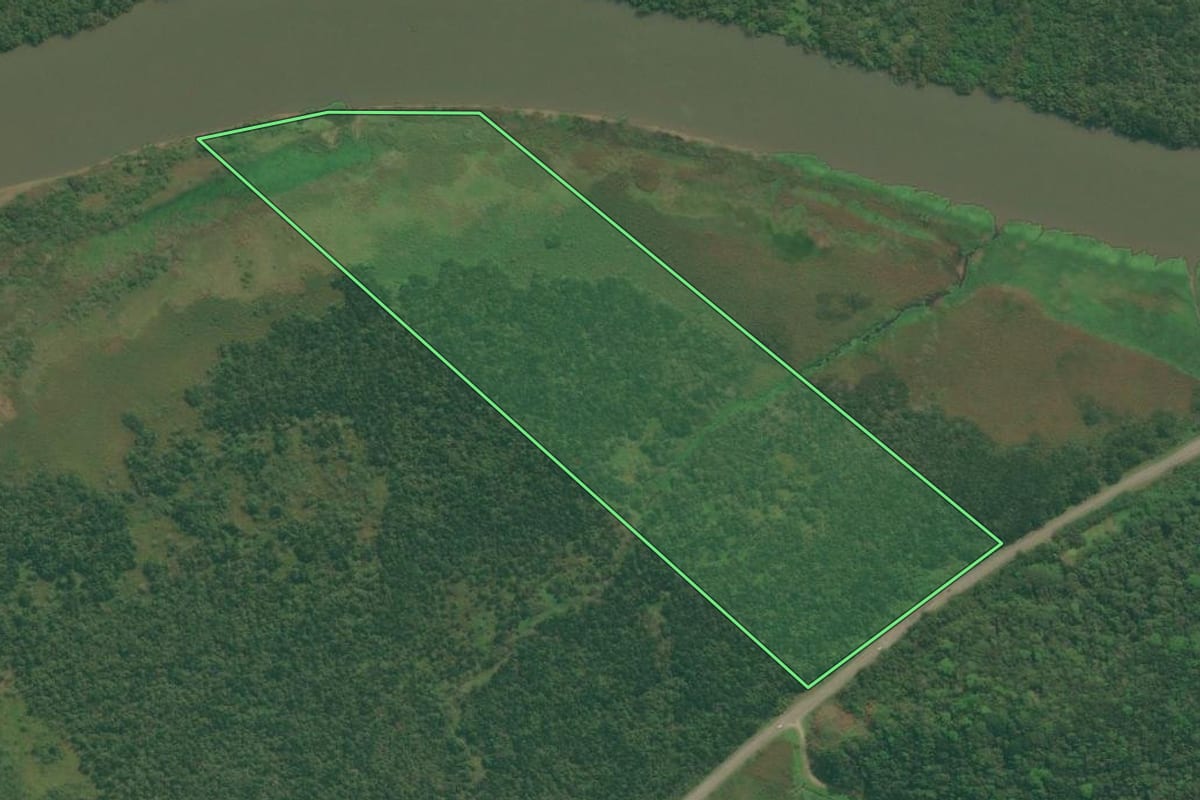 Imagem de satélite do imóvel rural em Iguape (SP), com o contorno declarado no CAR desenhado por cima.