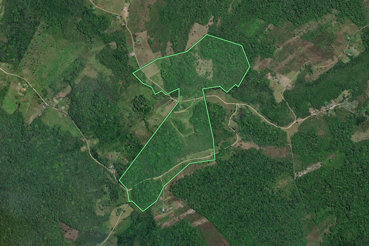 Imagem de satélite do imóvel rural em Iguape (SP), com o contorno declarado no CAR desenhado por cima.