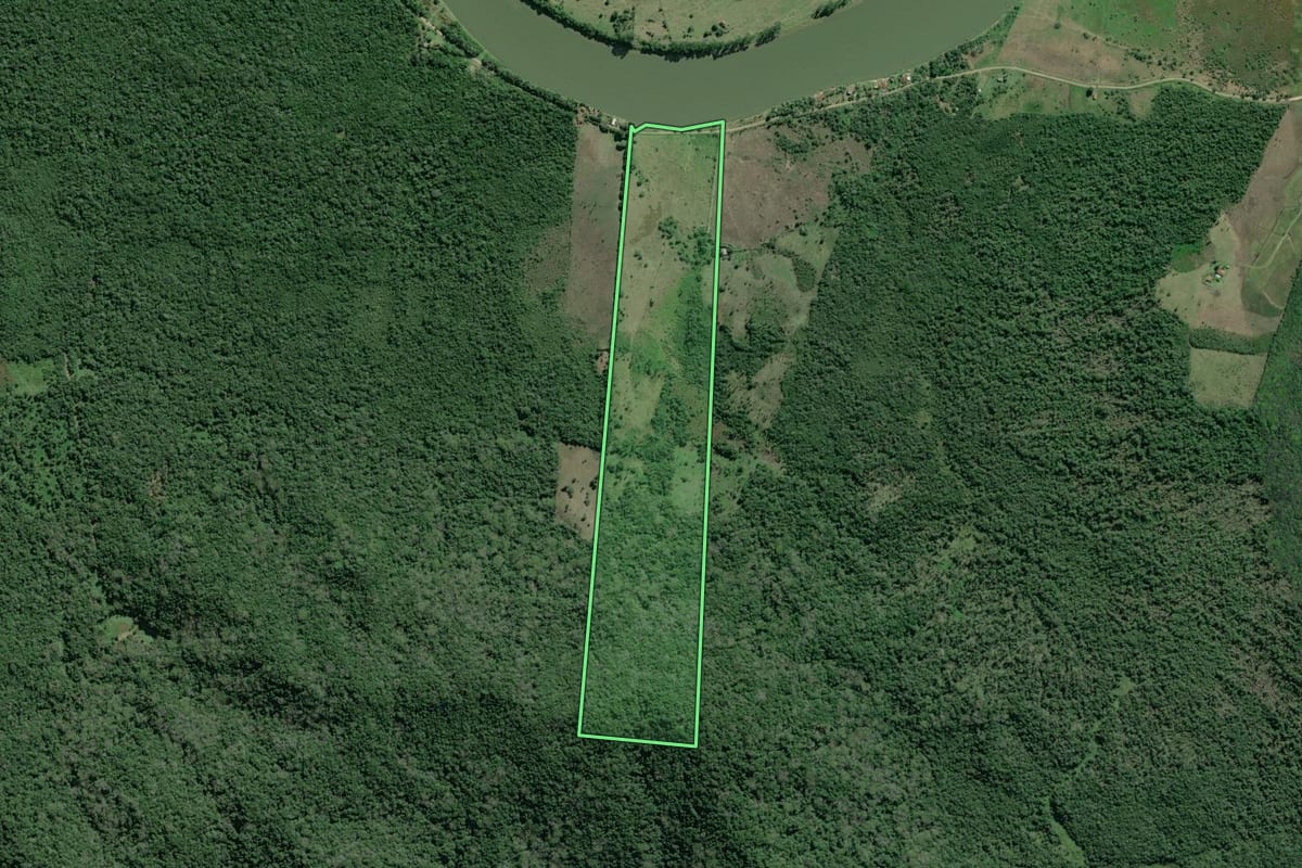 Imagem de satélite do imóvel rural em Iguape (SP), com o contorno declarado no CAR desenhado por cima.