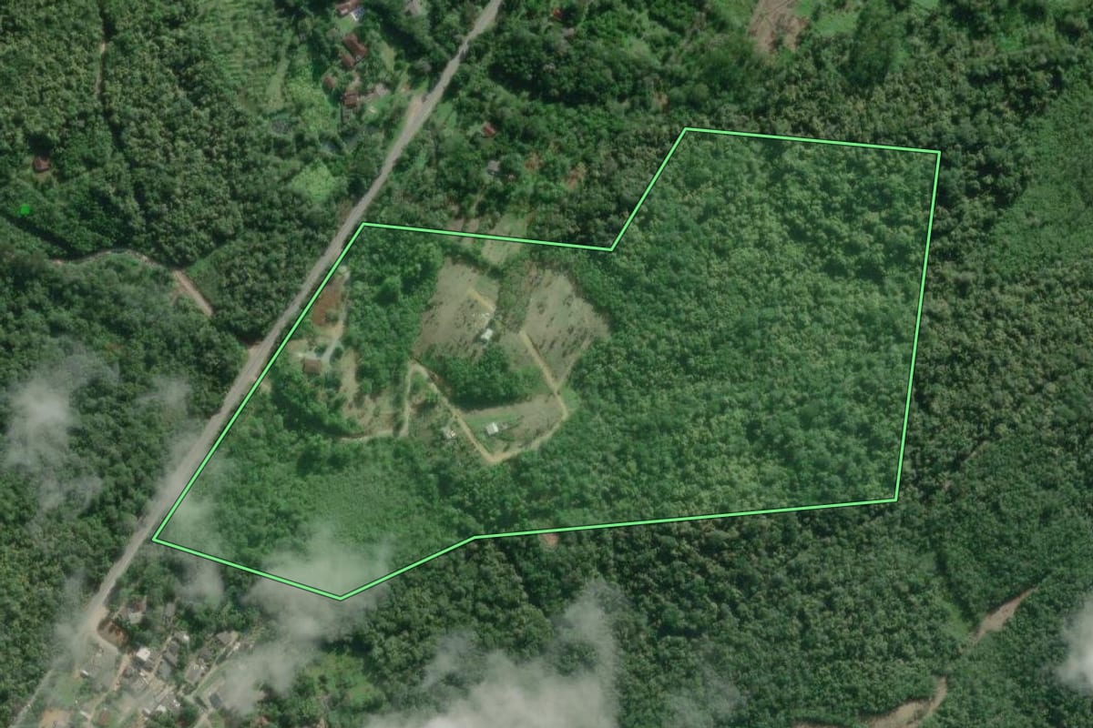 Imagem de satélite do imóvel rural em Iguape (SP), com o contorno declarado no CAR desenhado por cima.